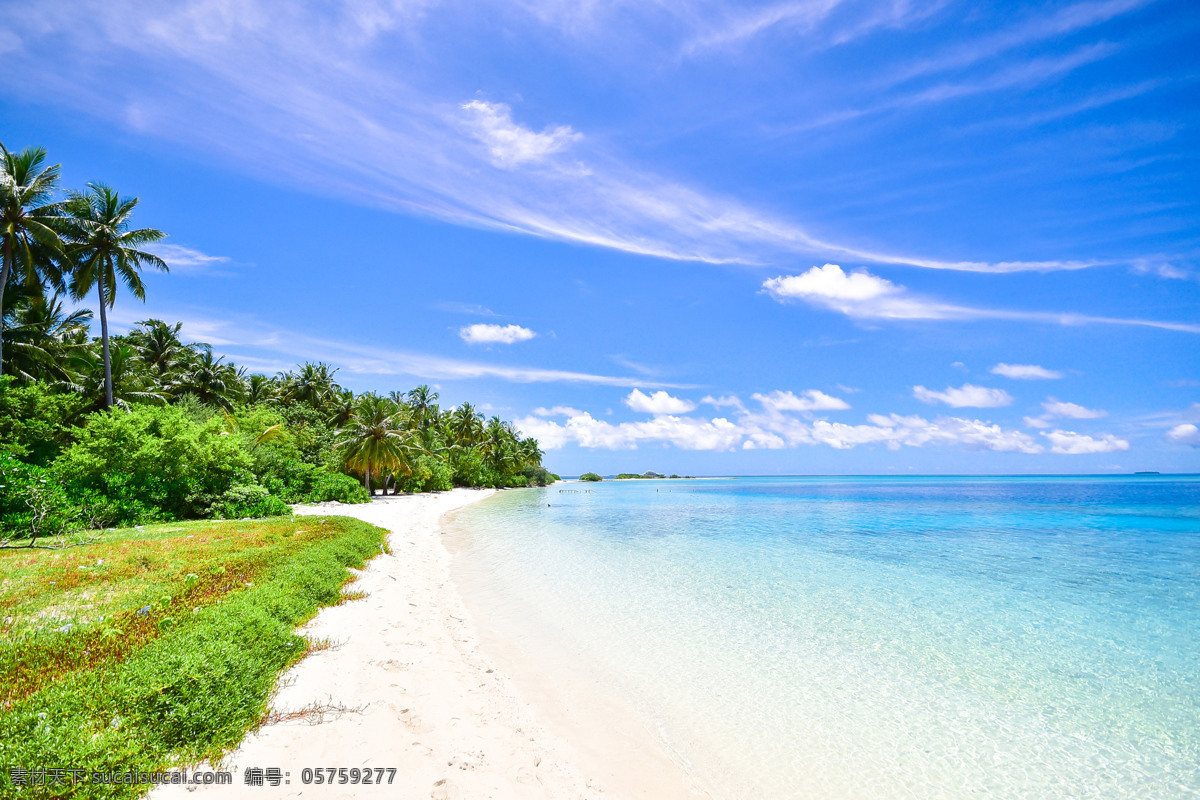 热带 海滩 椰树 蔚蓝 天空 海洋 蔚蓝天空 白云 清澈海水 清新 蓝天 海岛 摄影图 自然景观 山水风景
