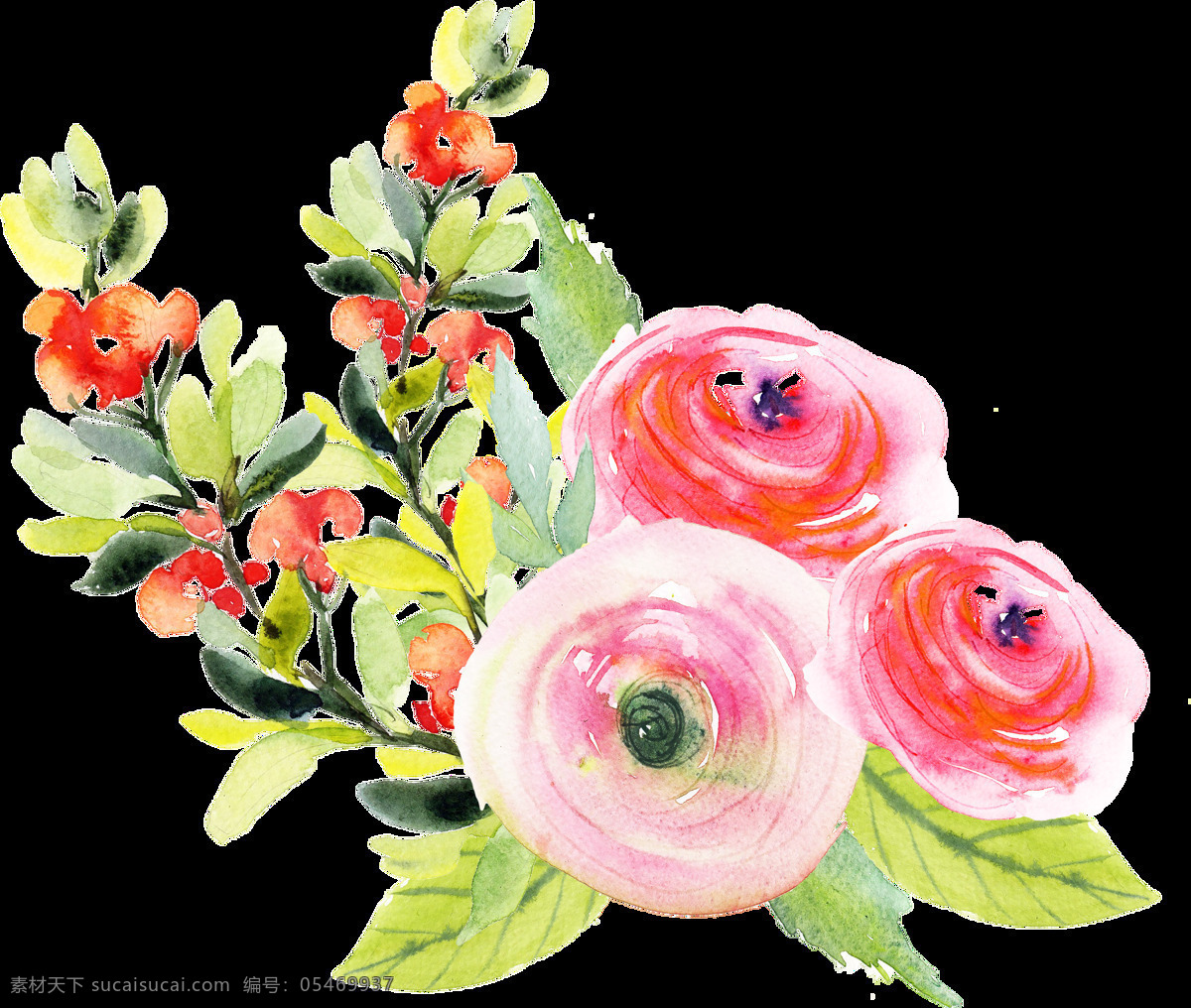 水彩 绘画 花卉 卡通 透明 免扣 手绘 透明素材 装饰 设计素材 淘宝素材 海报设计装饰 装饰图案