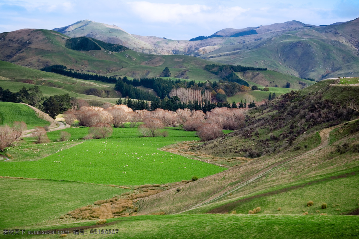 新西兰 田园风光 山水风光 田园 照片 山体 草地 自然景观 山水风景