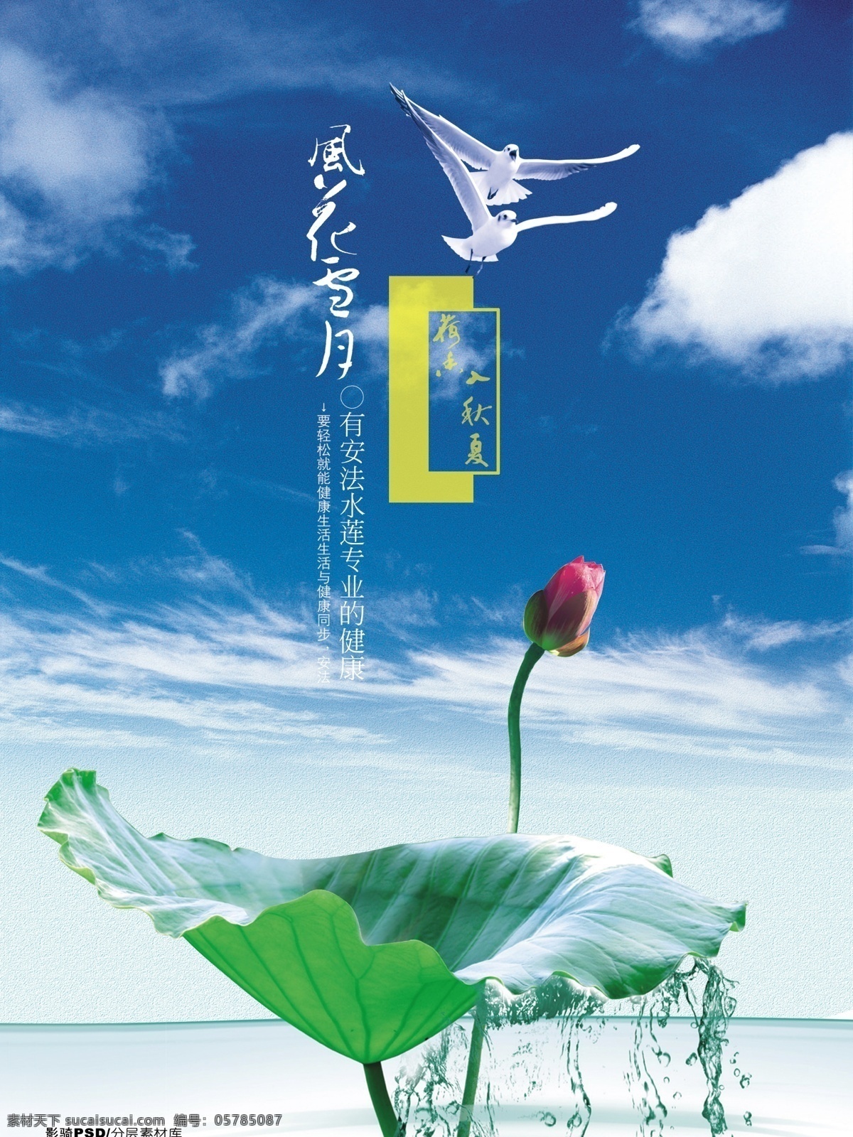 源文件 psd源文件 房地產(chǎn) 荷葉 花蕾 藍(lán)天白云 蓮子