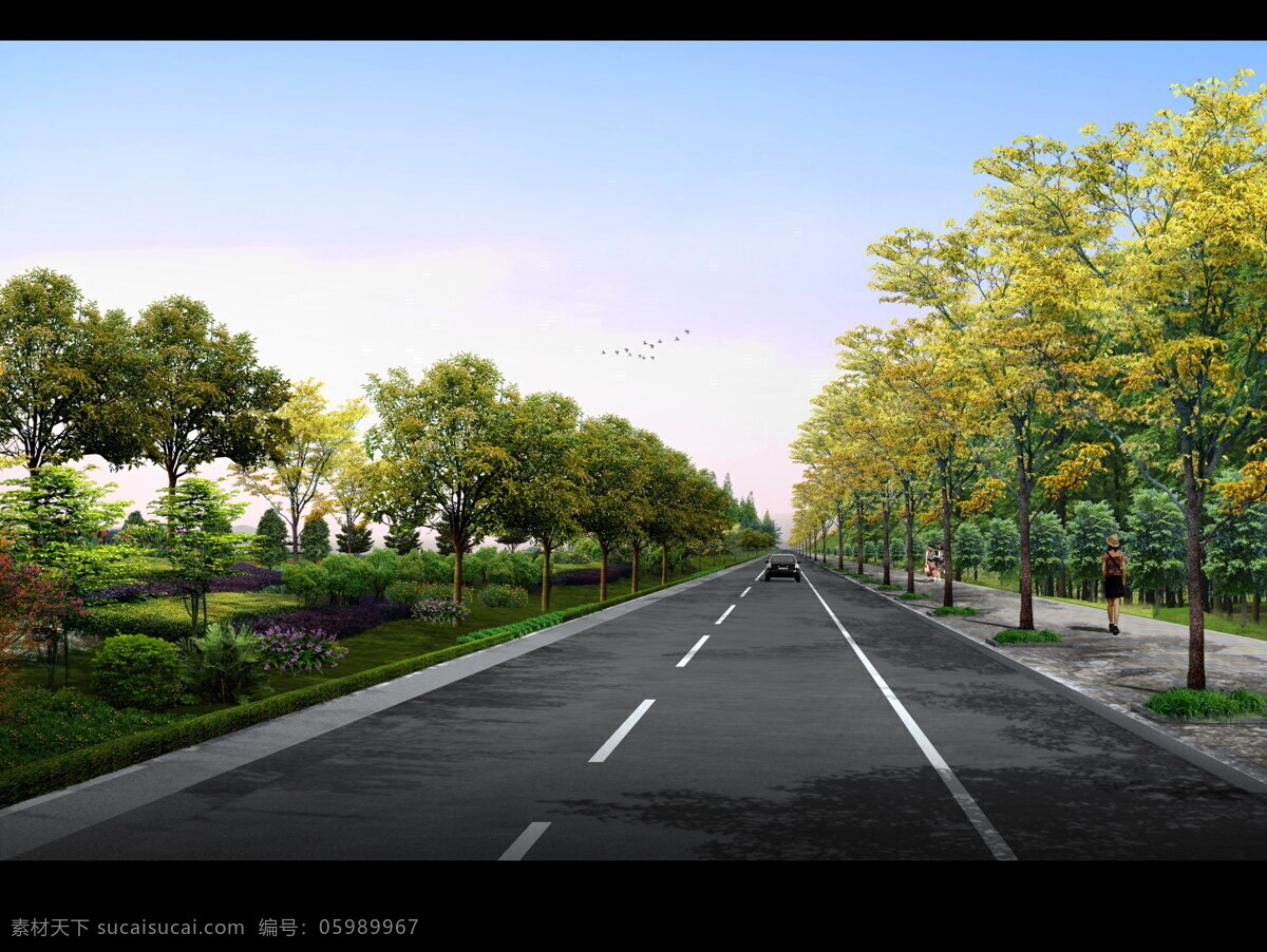 道路效果图 道路 景观 绿化 道路改造 辅道 景观效果 林荫大道 道路景观 侧分带 室外 路桥 景观设计 环境设计