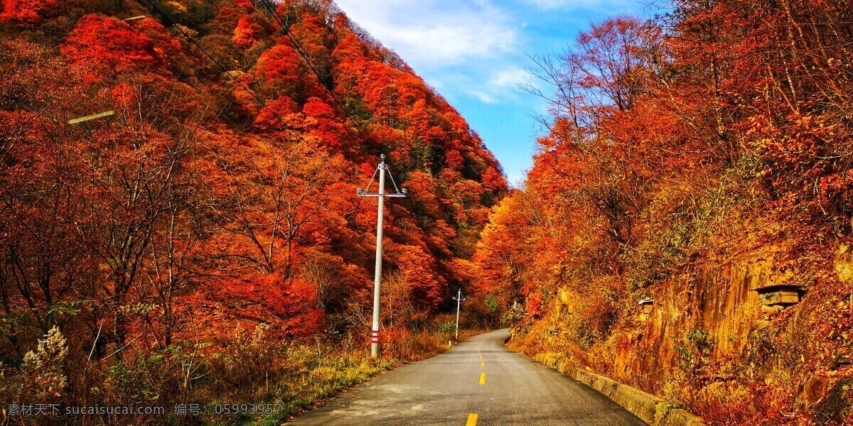 紅葉 楓葉 公路 馬路 山林 自然景觀 山水風景