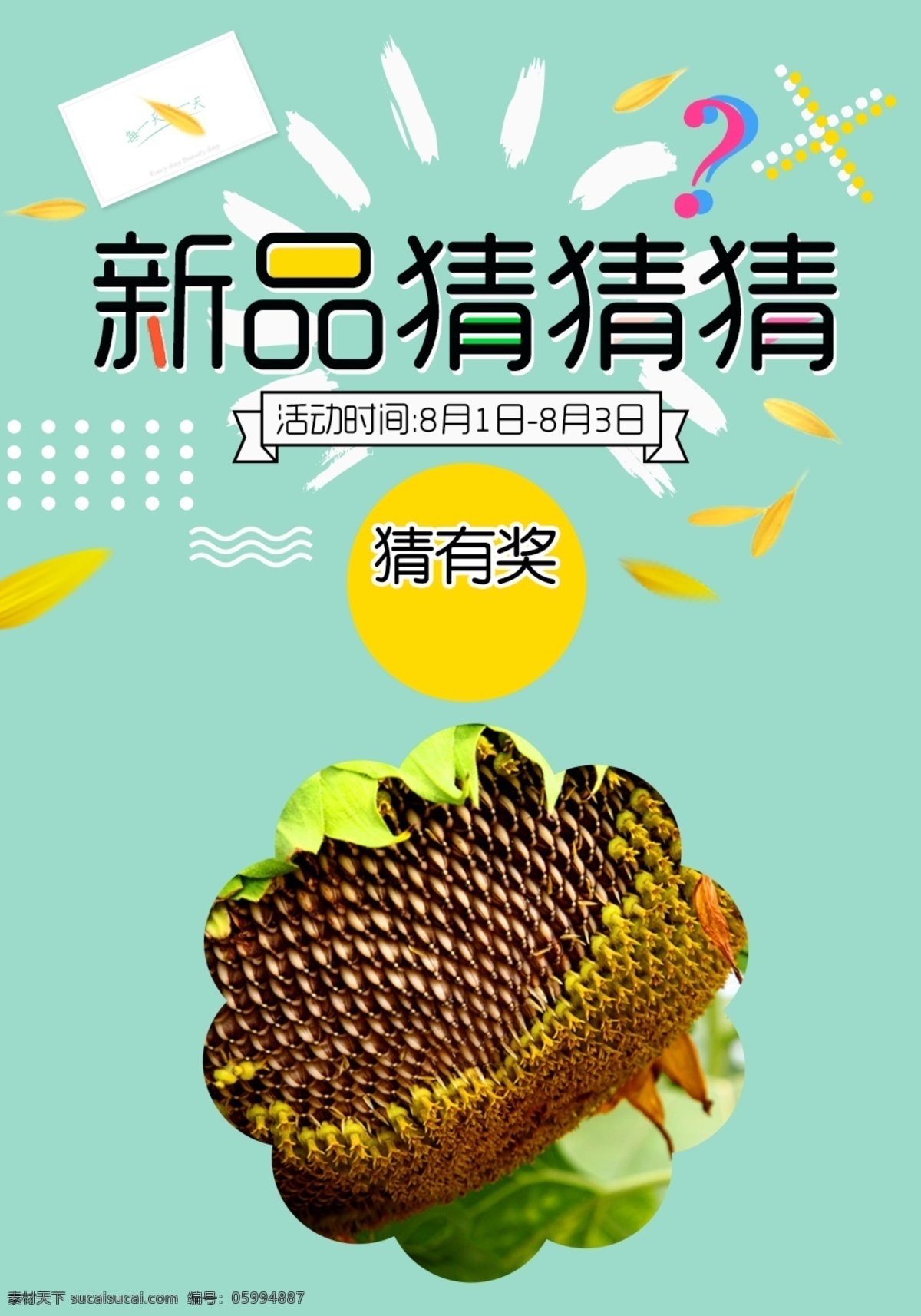 新品 上 新 活動 頁面 海報 葵花 向日葵 太陽花 花瓣 新品頁面活動