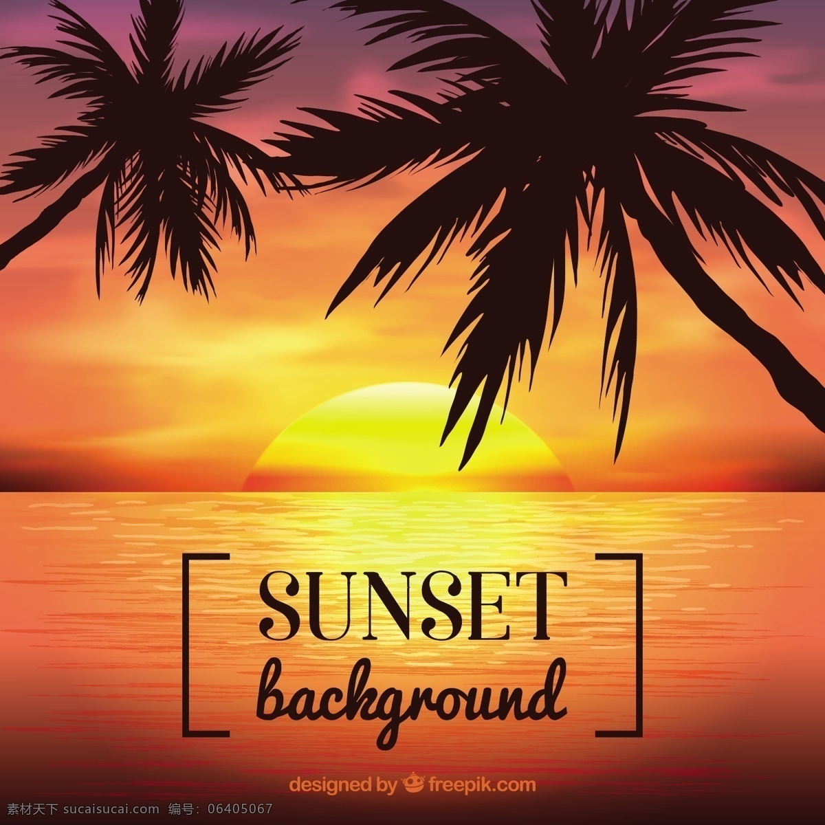 日落 背景 棕榈树 夏季 海滩 自然 海洋 景观 平面 棕榈 环境 室外 季节 树木