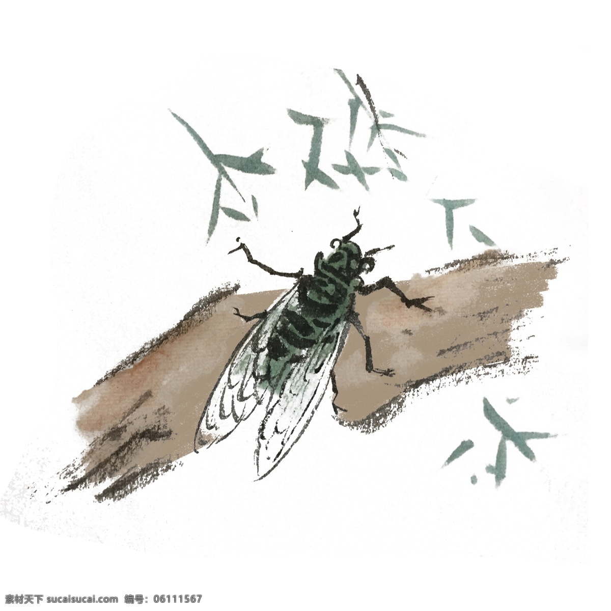 中國(guó) 風(fēng) 水墨 夏 蟬 手繪 裝飾 中國(guó)風(fēng) 動(dòng)物 古風(fēng) 水墨風(fēng) 墨跡 夏季 彩色 插畫 昆蟲 春天 生動(dòng) 蛐蛐 國(guó)風(fēng)