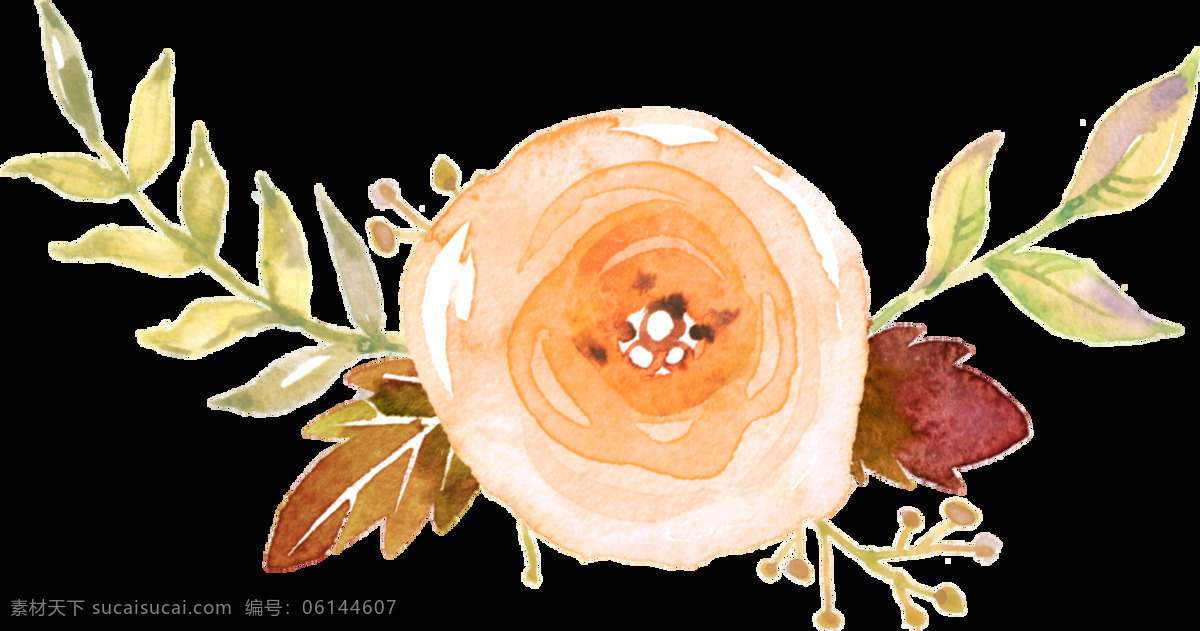儿童绘画 花卉 透明 装饰 儿童 海报设计装饰 卡通 免扣 设计素材 水彩 淘宝素材 透明素材 装饰图案 棕色