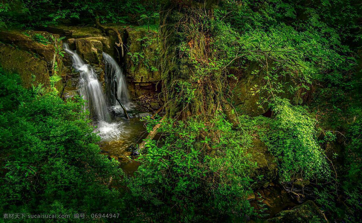 瀑布图片 瀑布 山涧 山林 树林 溪流 激流 飞瀑 山壁上 河床 断层 风景 自然景观 自然风景