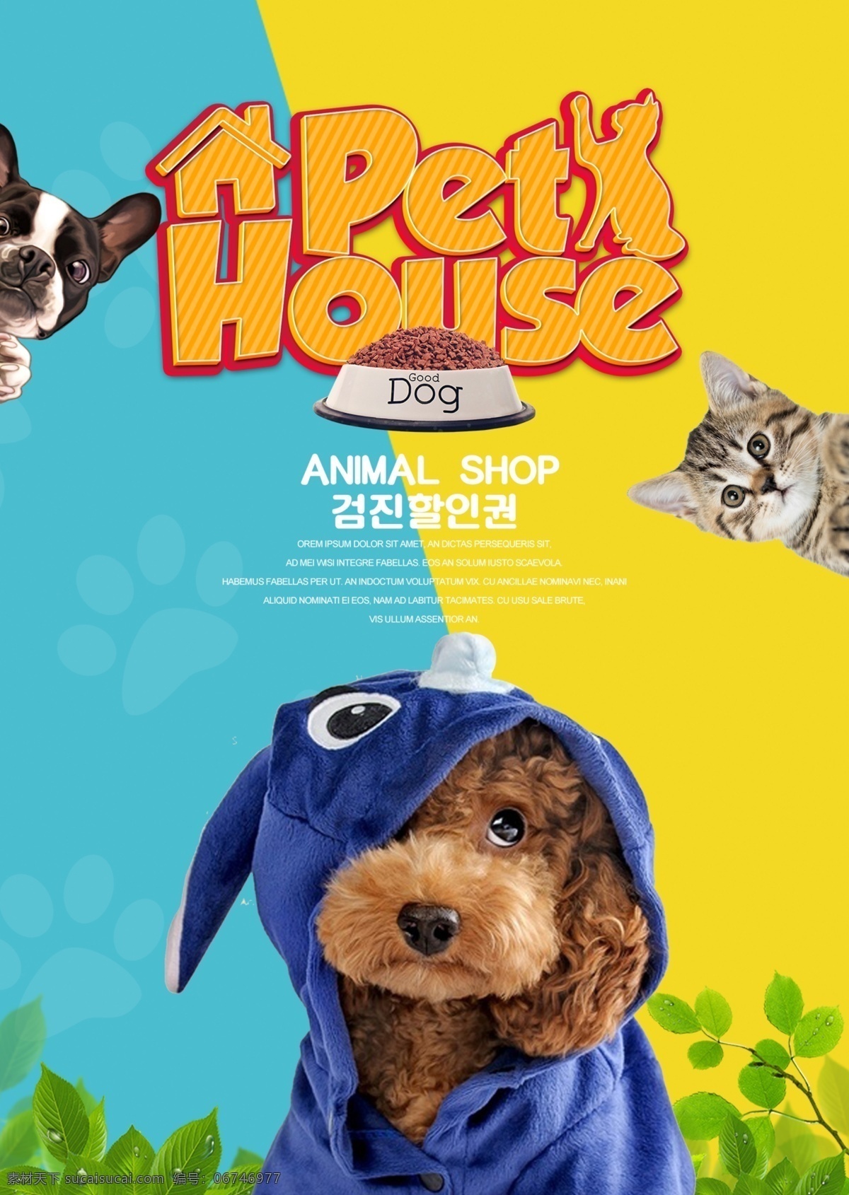 可爱 时尚 韩国 宠物医院 宣传海报 现代 色彩艺术 狗 宠物 医院 拥护 海报 来源材料