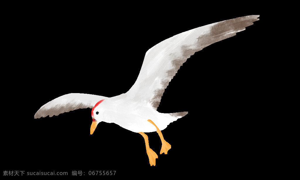 海鸥 飞翔 插画 卡通 立体 海报 png格式