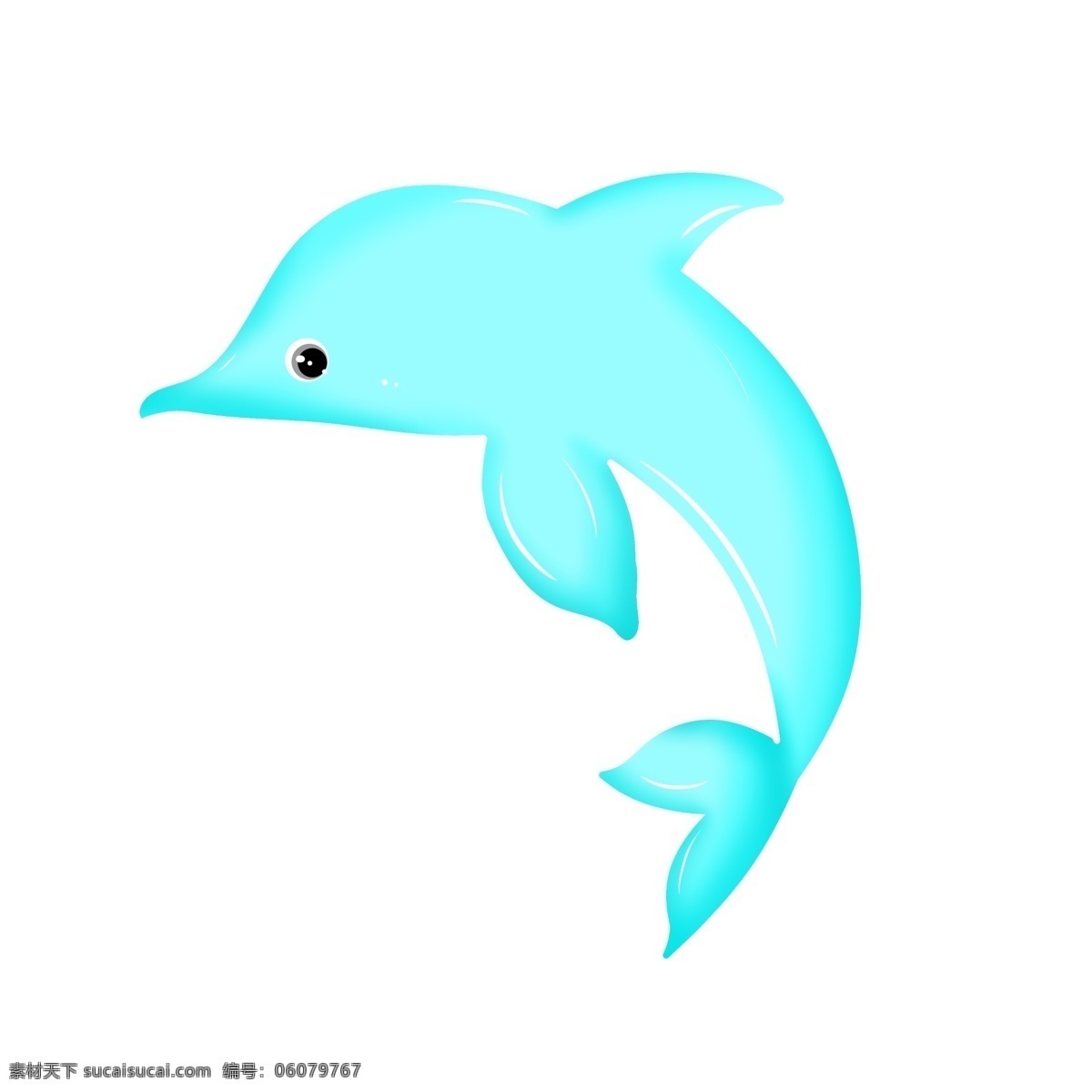 浅蓝色 海洋 海豚 动物