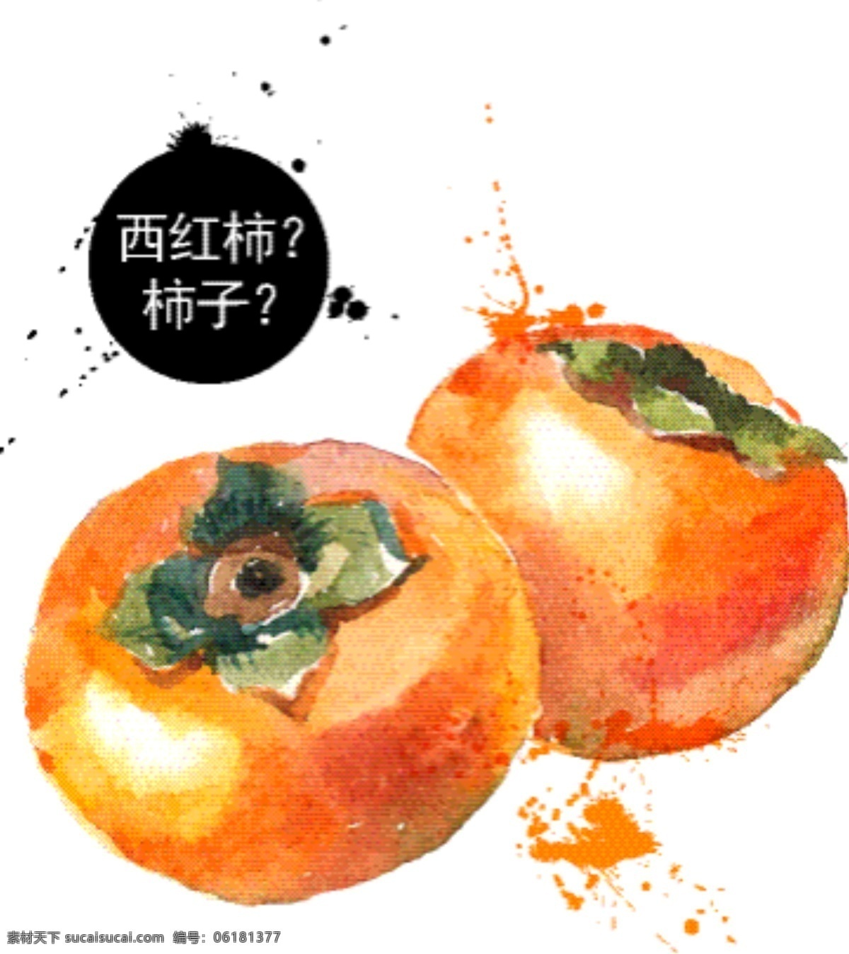 彩绘手绘柿子 矢量 水果 插画 柿子 手绘柿子 彩绘柿子 柿子漫画 彩绘柿子漫画 柿子矢量图 柿子矢量素材 水彩水果素材 水彩画 水粉画 水彩 彩绘水果素材 水果彩绘 透明素材 手绘动物植物 水果插画 动漫动画 风景漫画 插画设计 矢量水果素材 eps源文件 矢量类素材