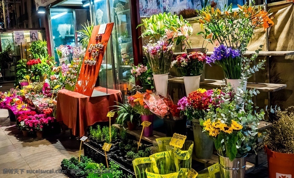 花店 室內(nèi)效果圖 裝修效果圖 裝飾裝潢 家居裝修 客廳裝修 客廳效果圖 客廳家具效果 高清效果圖 3d效果圖 室內(nèi)3d效果 高檔裝修效果 高端裝修效果 藝術(shù)涂料裝飾 藝術(shù)涂裝 簡(jiǎn)約電視背景 建筑園林 室內(nèi)攝影