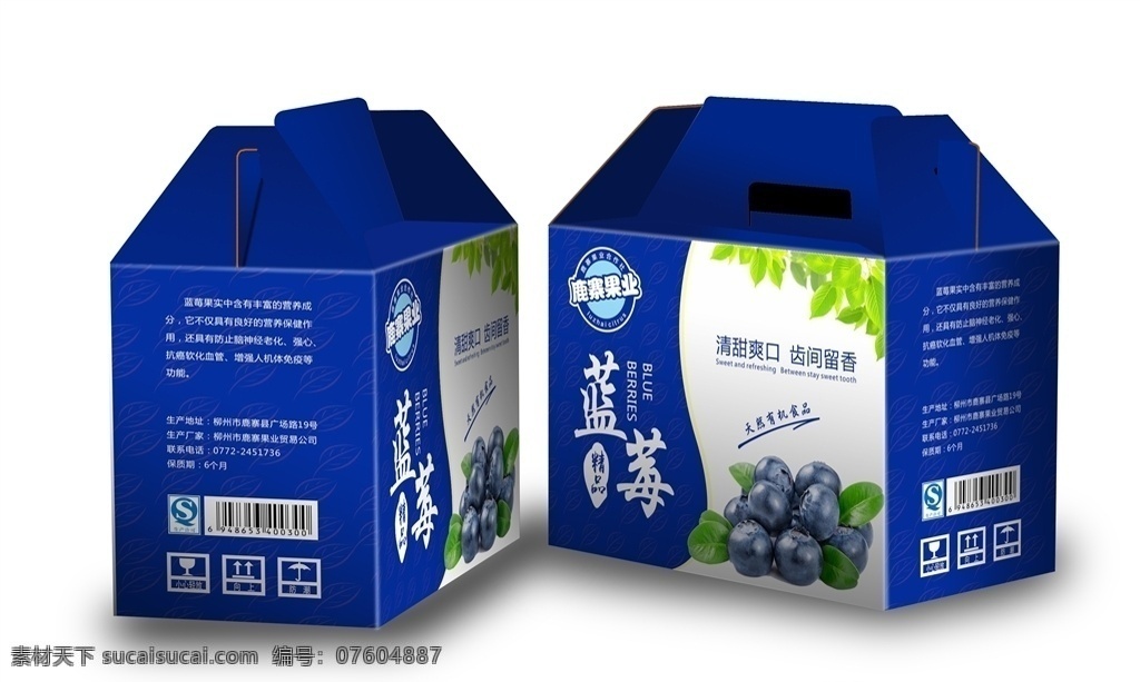 藍(lán)莓包裝 水果禮品包裝 蔬果包裝 禮品包裝 水果包裝 包裝平面圖 精品水果 包裝 食品包裝 綠色食品 綠色食品包裝 手提箱 綠色包裝 紙箱包裝 紙箱 包裝盒 送禮 高檔 禮品盒 禮盒包裝 包裝設(shè)計(jì)