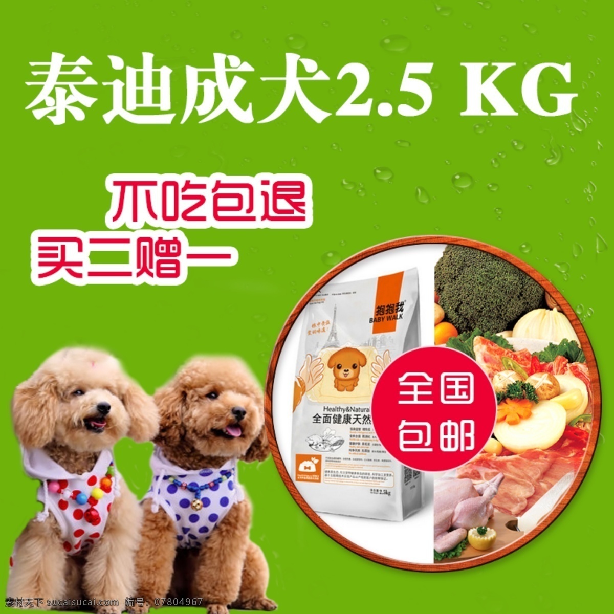 泰迪 成 犬 直通車 圖 狗糧 綠色