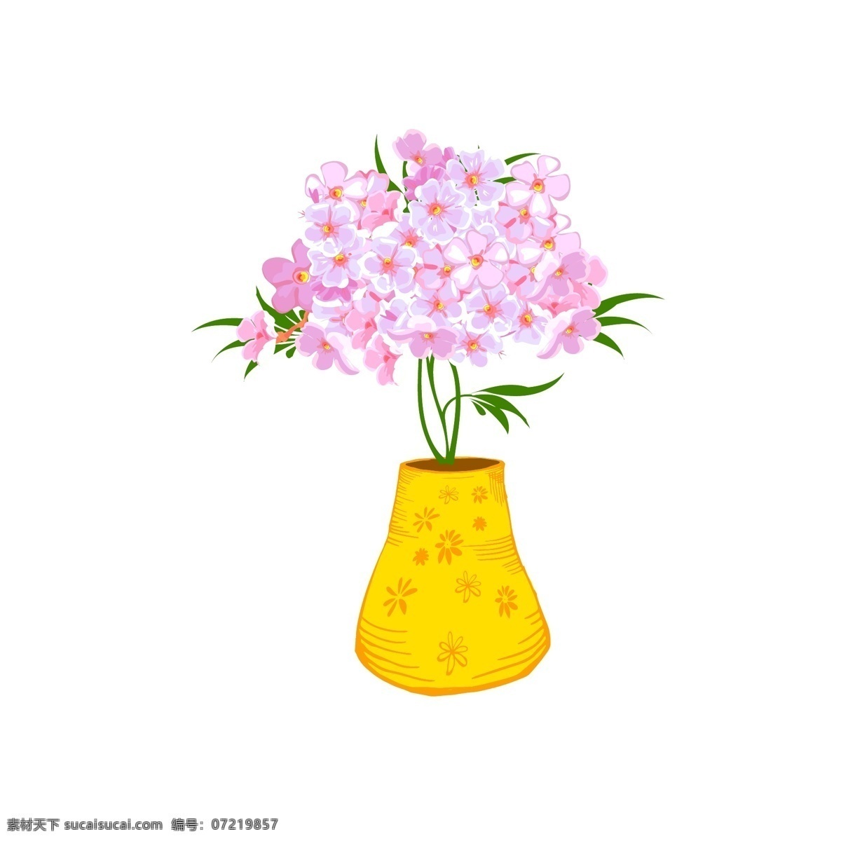 手绘 水彩 观赏植物 清爽 盆景 花卉 花朵 手绘风 花盆 美丽植物