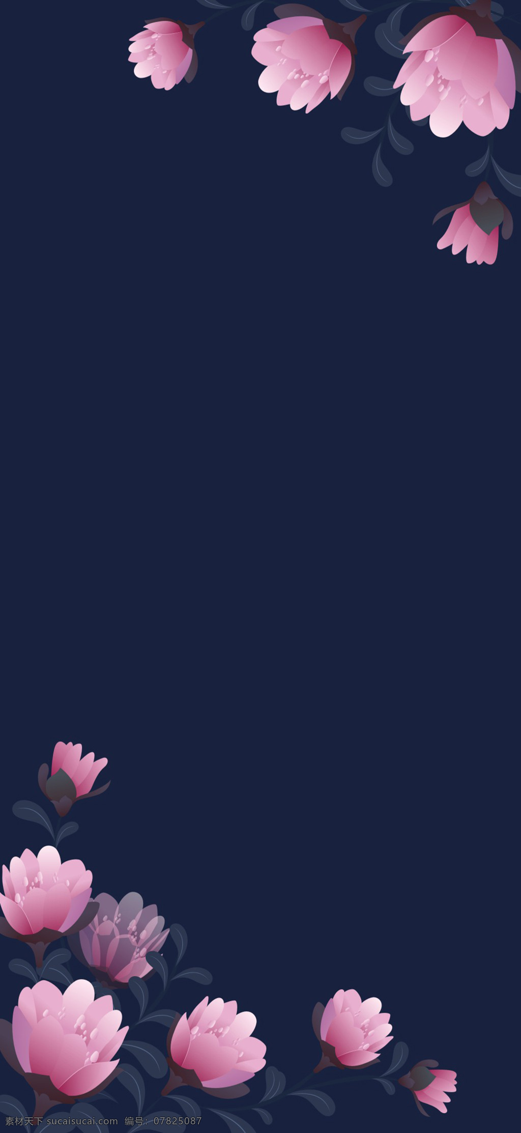 清晰 唯美 粉色 花卉 背景 花卉背景 小清新背景 植物背景 植物花卉 水彩背景 通用背景 藍色背景