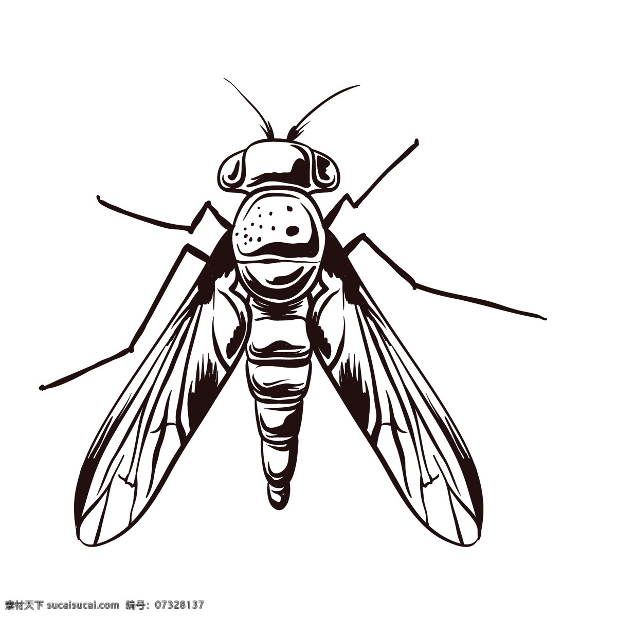 素描绘画昆虫 简笔绘画 线条 纯色 昆虫 素描 蝴蝶 蜻蜓 插画 绘画 图案 文化艺术 绘画书法