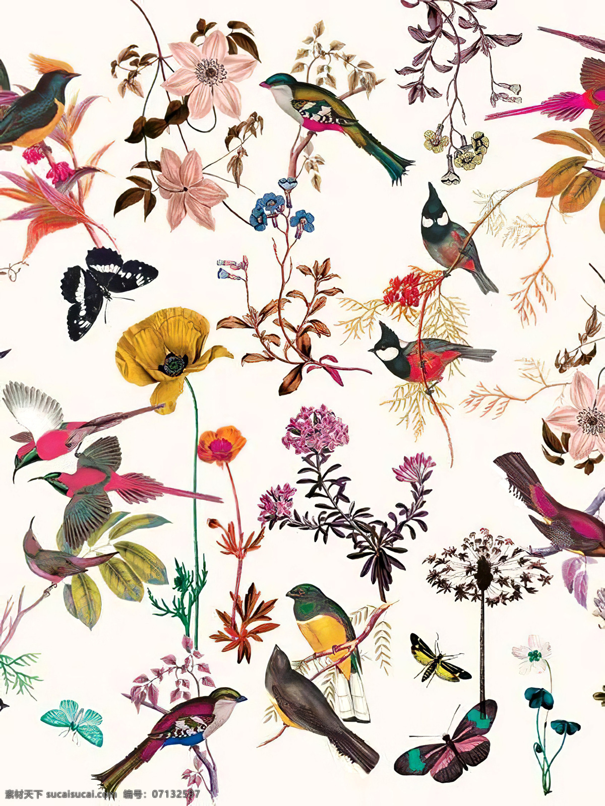 花鳥(niǎo)系列 花鳥(niǎo) 手繪 鸚鵡 圖案 水彩 插畫(huà) 花 鳥(niǎo) 裝飾畫(huà) 繪畫(huà) 畫(huà)眉 黃雀 底紋邊框 背景底紋