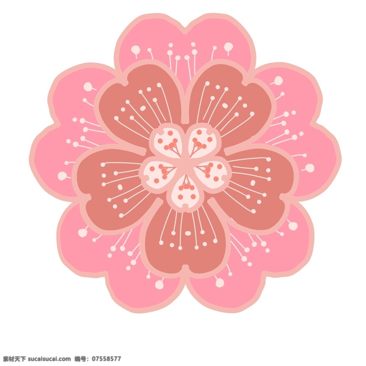春天 粉色 樱花 插画 粉色樱花插画 白色花蕊插画 漂亮的樱花 花朵插画 日本樱花 五瓣花叶 植物