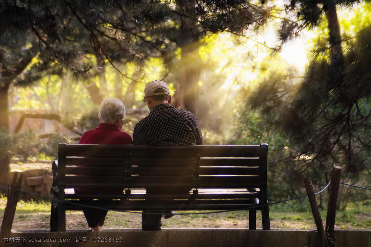 公园 长椅 上 老人 植物 阳光 夕阳 和睦 人物 男人 妇女 人物图库 老年人物