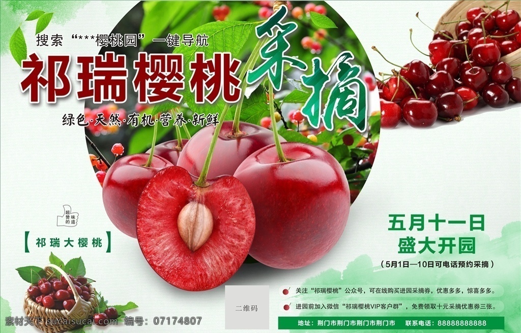櫻桃采摘 櫻桃 采摘 高清 綠色 天然 營(yíng)養(yǎng) 新鮮