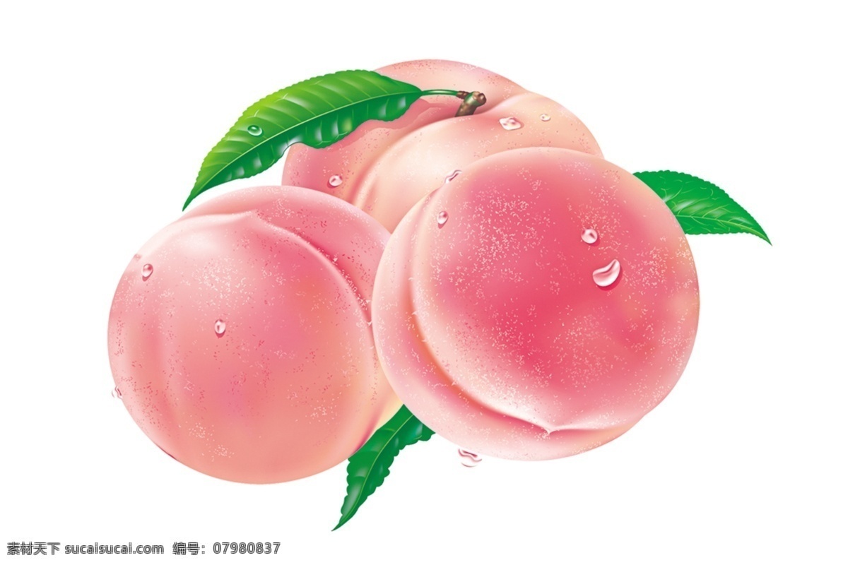 水蜜桃图片 水蜜桃 桃子 蜜桃味 大桃子 水果蜜桃 水果类 分层