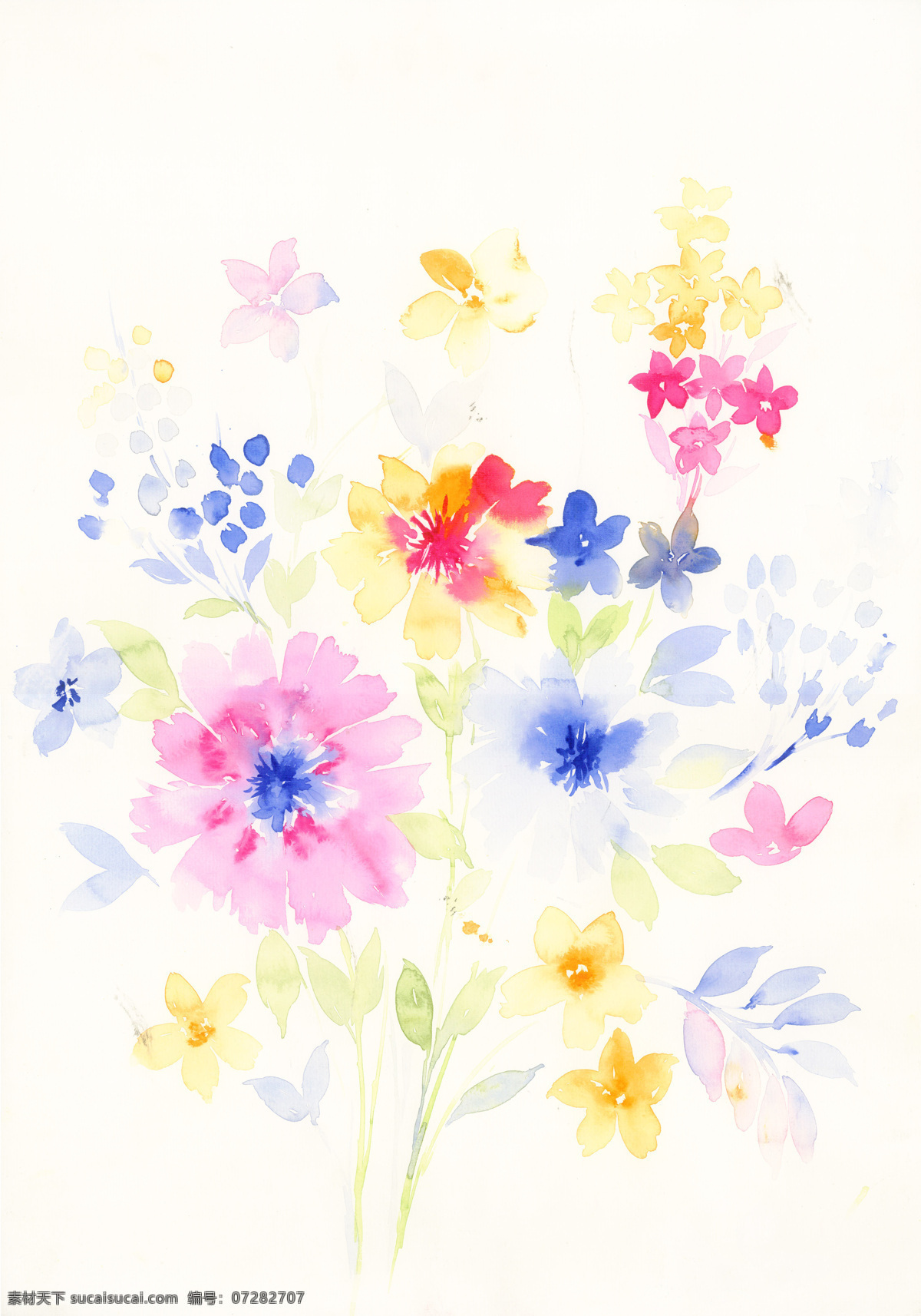 原创 手绘 水彩 艺术 花卉