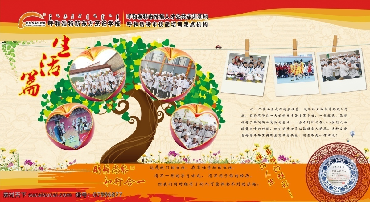 校園 宣傳欄 生活 篇 校園展板 墻體布置噴繪 入學(xué)篇展架 校園宣傳欄 廚師培訓(xùn)學(xué)校 管理篇宣傳欄 新東方 烹飪 教育 分層