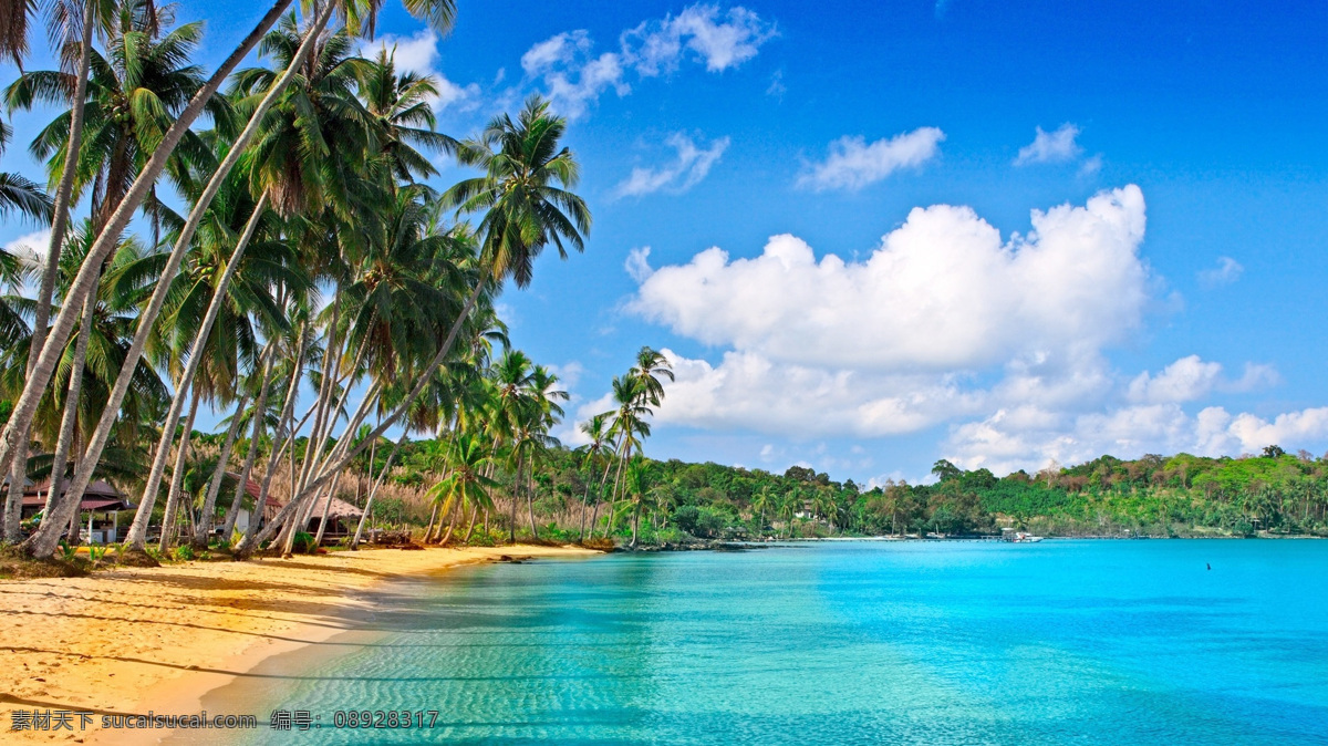 美丽 蓝天 白云 景色 椰子 椰树 海水 湖泊 自然景观 自然风景