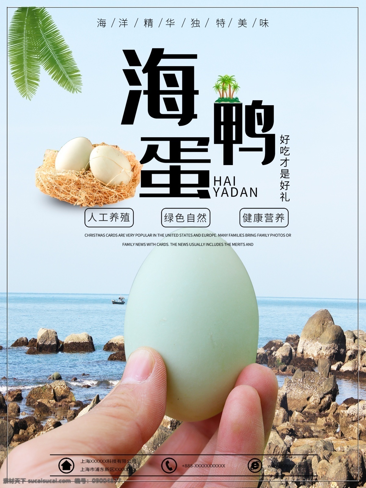 海 鴨蛋 食品 促銷 海報(bào) 海鴨蛋 海邊 促銷廣告 宣傳單 宣傳海報(bào) 食品海報(bào)