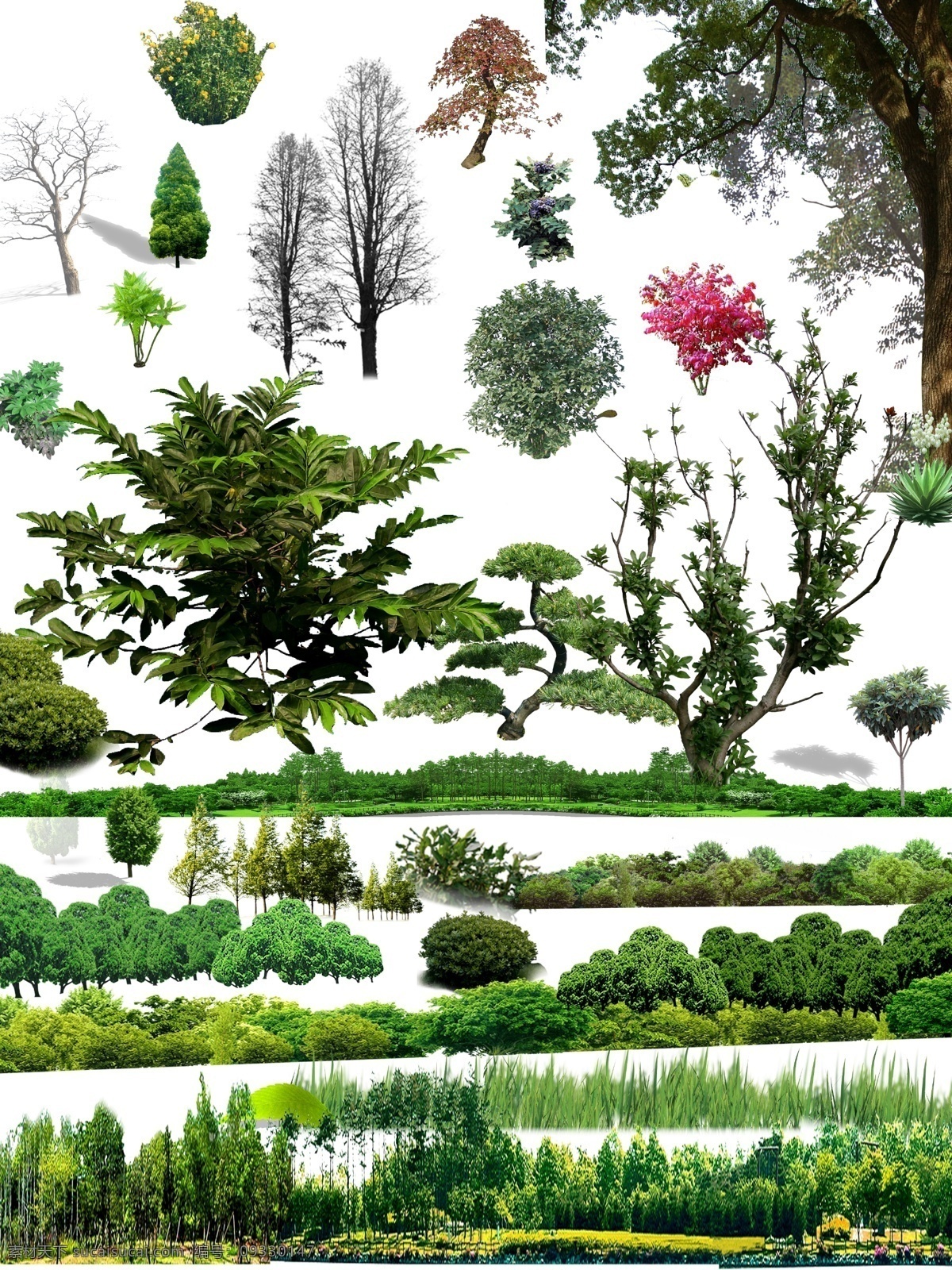 樹木 草叢 葉子 花草 綠色 綠葉 自然景觀 建筑園林