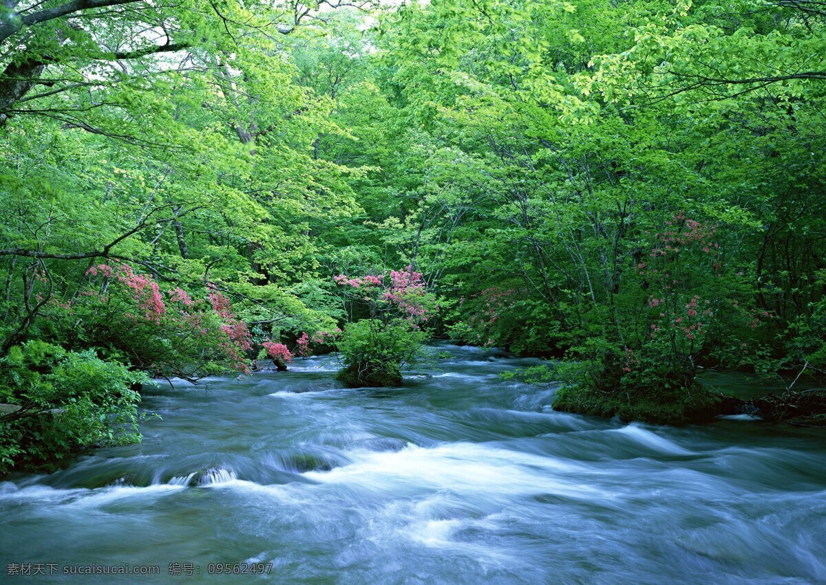自然之美 山涧 溪流 清潭 绿叶 山林 自然景观 山水风景