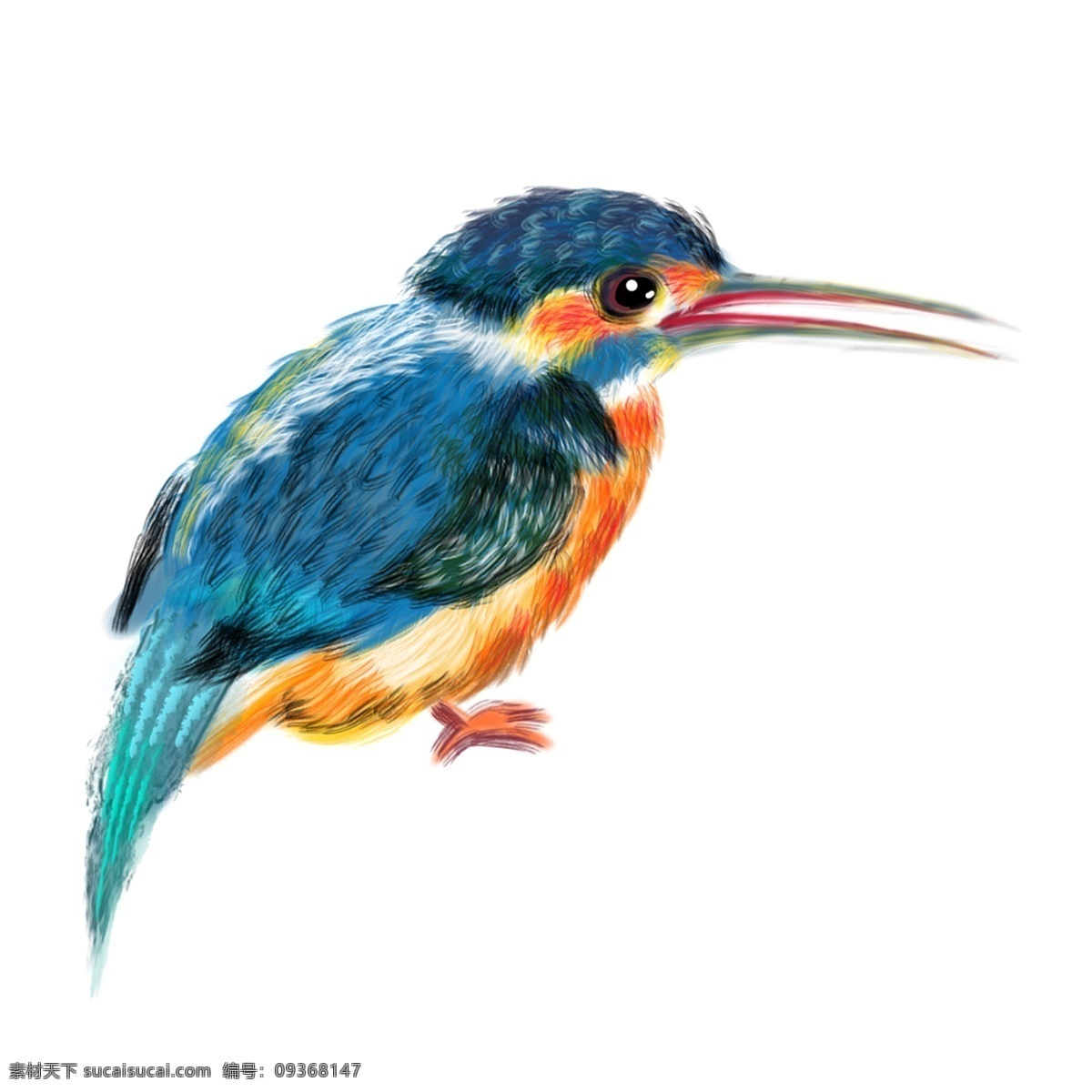 可爱 蓝色 小鸟 透明 插画元素 卡通元素 透明素材 动物 装饰图案
