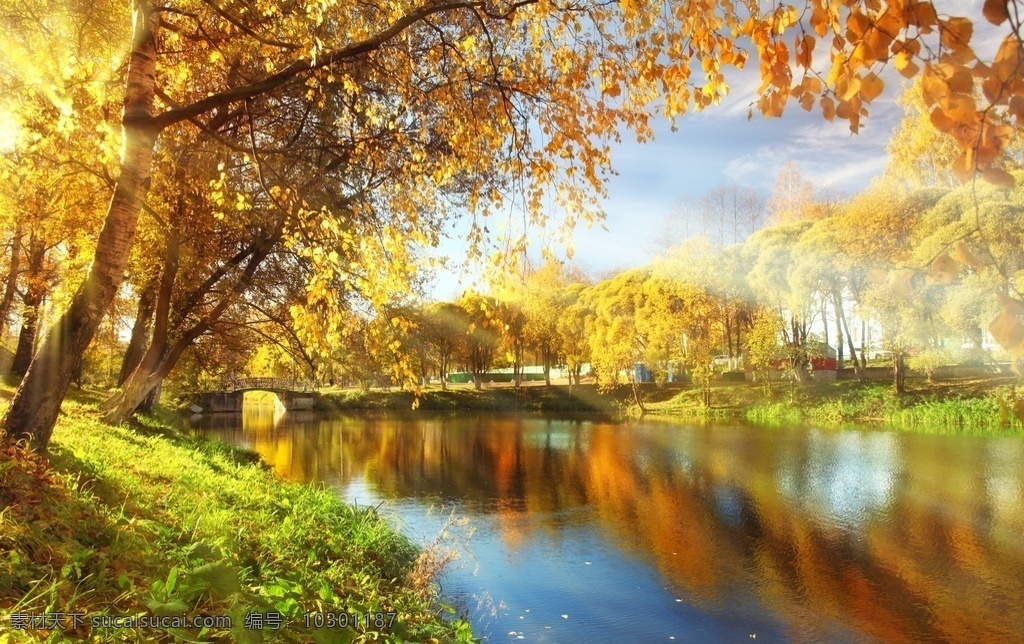 秋天图片 秋天 风景 唯美 美景 背景 自然景观 自然风景