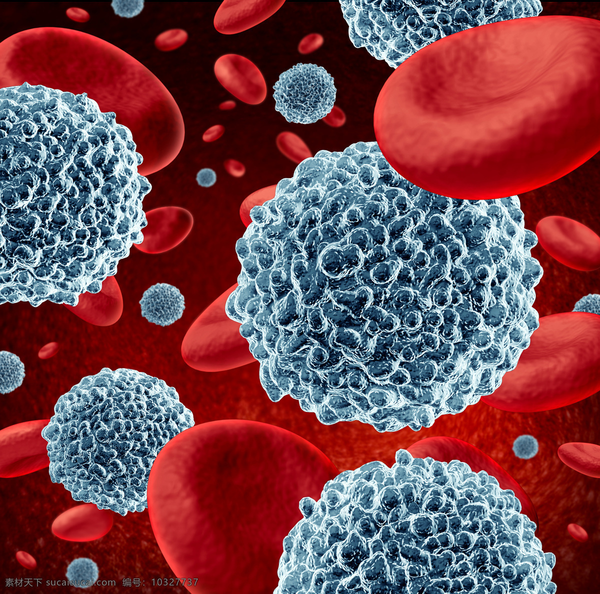 红细胞血管 生物 病毒 高清 背 红细胞 微生物 生物细胞 血管 生 物类 现代科技 科学研究
