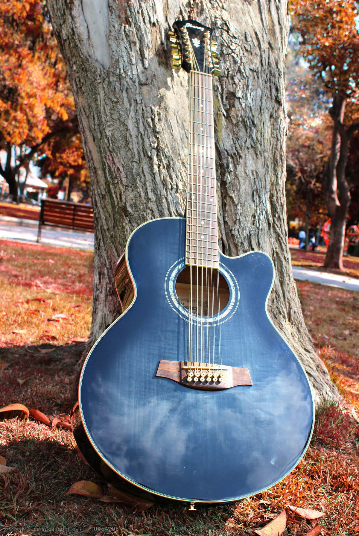 吉他 公园图片 秋季 公园 弦乐器 树 木 音乐 乐器 音乐家 原声吉他 音乐设备