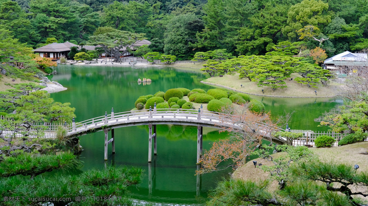 美麗 公園 風景 綠色 樹林 湖泊 小橋 美景 多嬌江山 自然景觀 自然風景