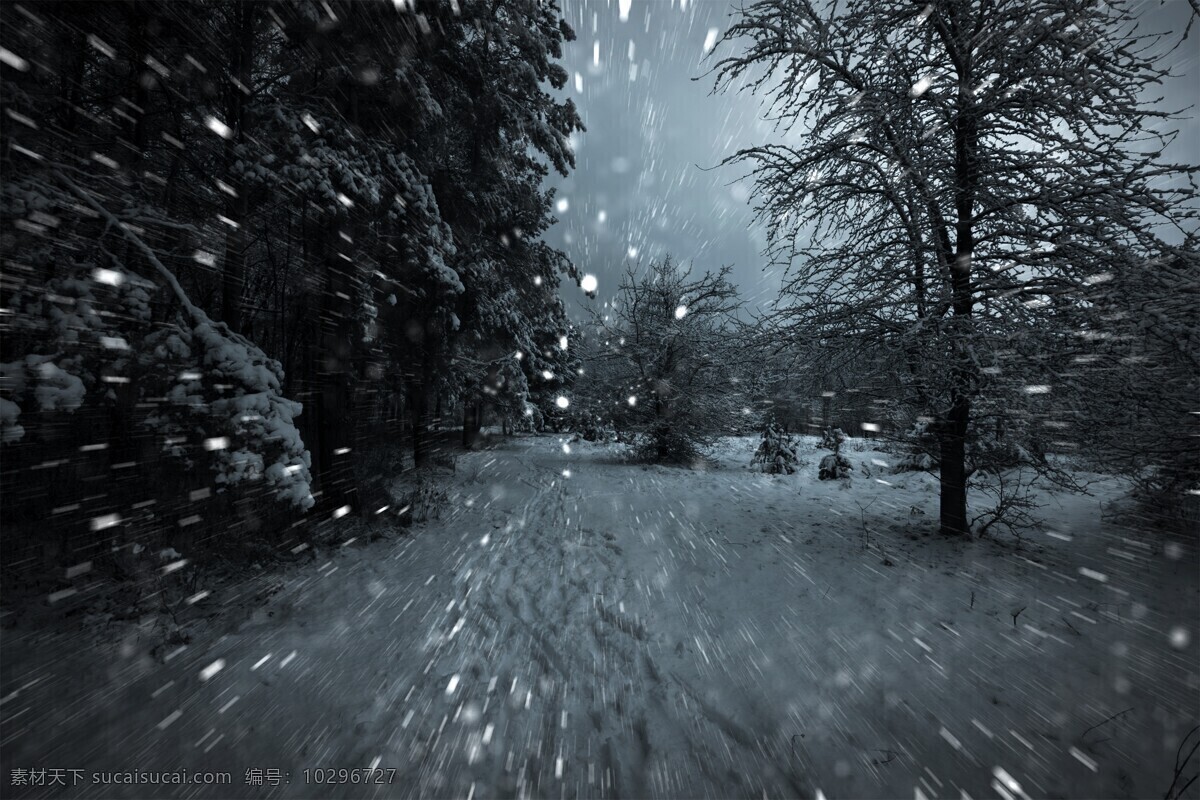 白色 冬天 大雪無(wú)垠 白色的冬天 雪 大雪 暴雪 松樹(shù) 雪松 北國(guó)風(fēng)光 霧凇 樹(shù)林 雪景 冰雪