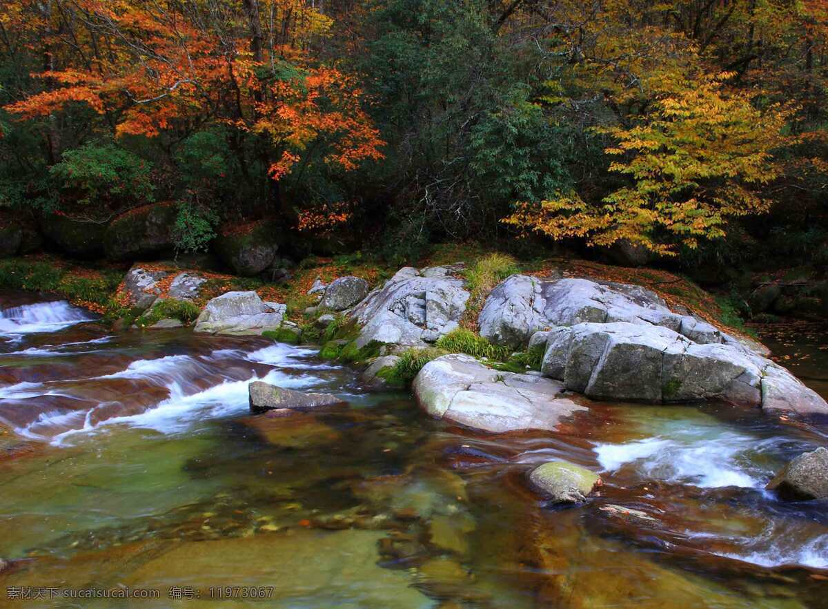 山谷 岩石 风景 石头高清 溪水 森林 自然景观 自然风光
