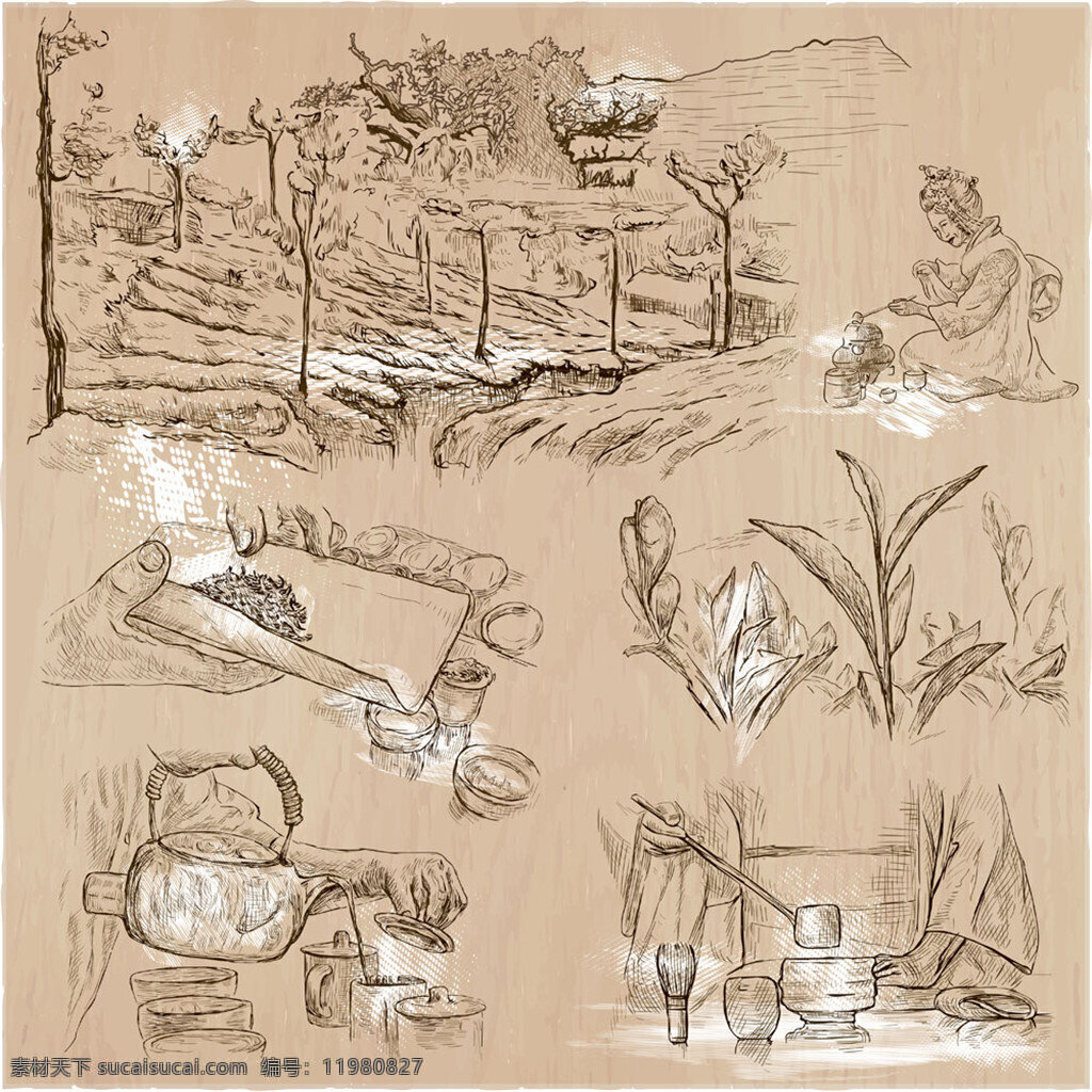 手绘 茶叶 加工 矢量 插画 手绘图 手绘插画 矢量插画 茶叶加工 树叶 种茶