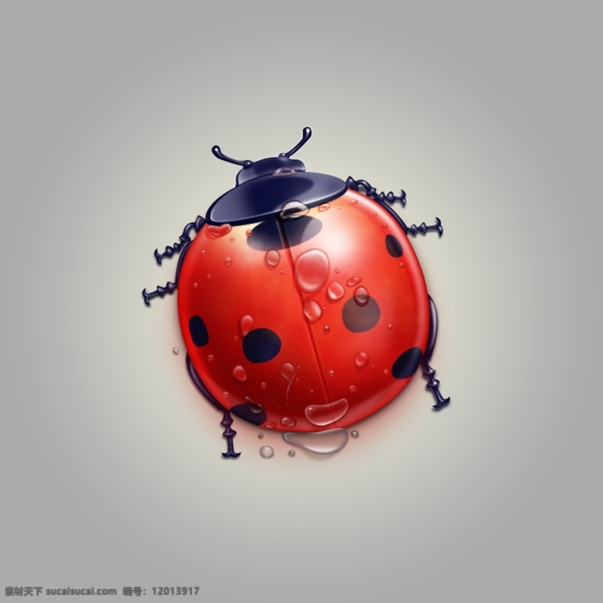 可爱 瓢虫 动漫动画 动物 红色 昆虫 图标设计 卡通 动漫