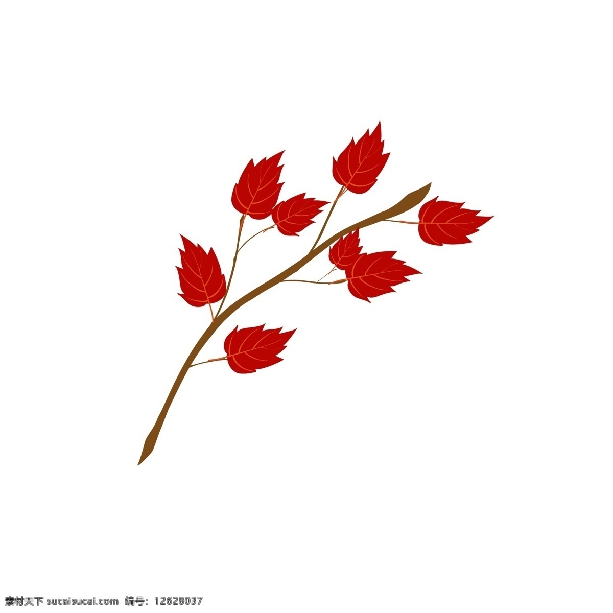秋季 红叶 迷人 叶子 红色 秋色 美丽 秋天 景色 漂亮 艳丽 树叶