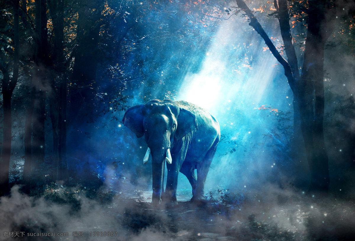 森林 大象 魔幻 背景 海报 素材图片 插画 清新 类