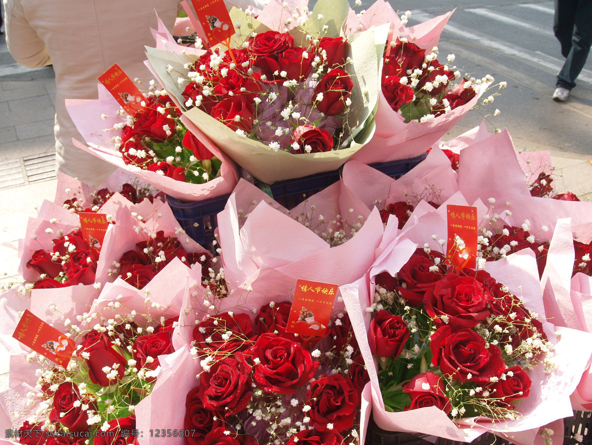 情人节 玫瑰 花束 植物 花卉 装饰 鲜花 红色 浪漫 红玫瑰 玫瑰花 束鲜花 红色玫瑰 玫瑰花束 生物世界 花草