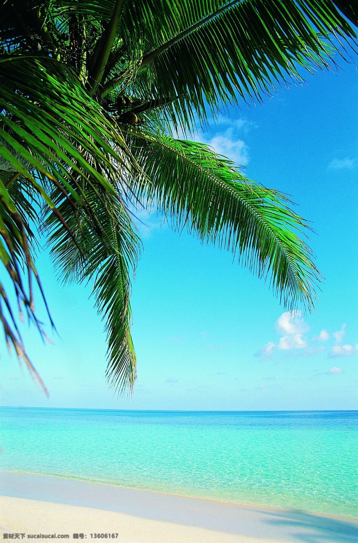 美丽 海边 风景图片 海岸线 海滩 沙滩 海岛 度假小屋 度假海滩 椰树林 椰林 海风 洁白的沙滩 度假沙滩 沙滩椅 海水 美丽的大海 蔚蓝的大海 海浪 浪花 美丽风景 风景线 自然风景 山水 田园 自然景观