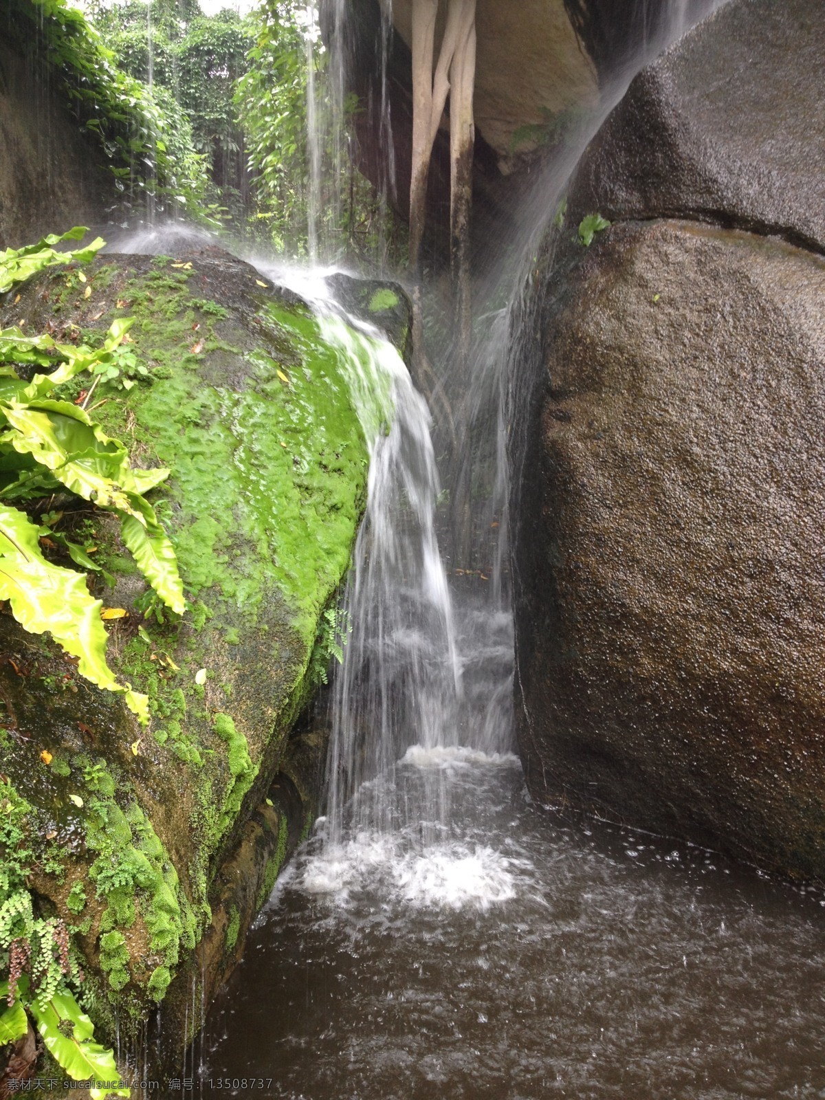 廈門 綠色 瀑布 苔蘚 小瀑布 流水 長曝光 國內(nèi)旅游 旅游攝影 灰色