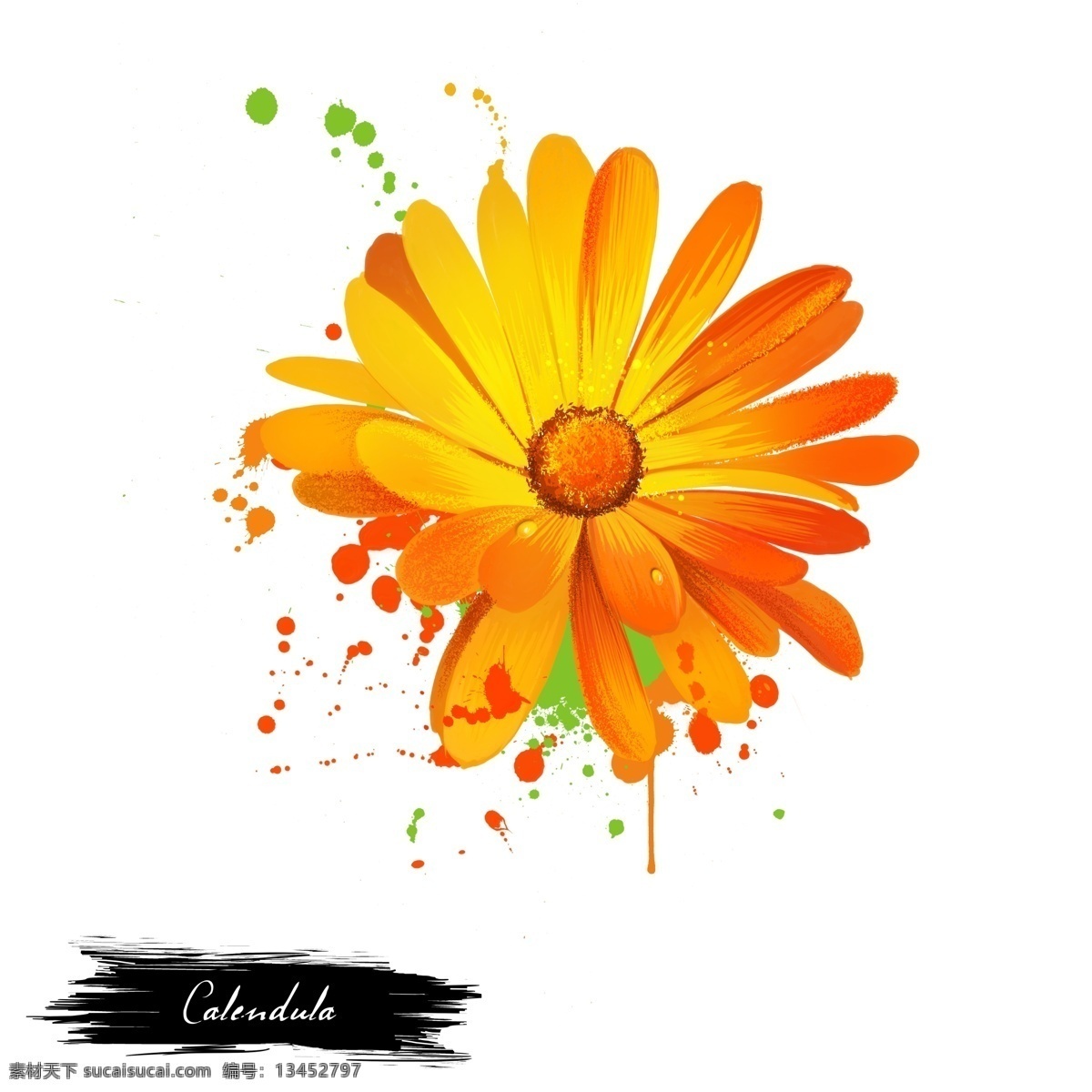 手绘 水彩 色彩 艳丽 菊花 源文件 橙色 黄色 花朵 颜料 装饰图案