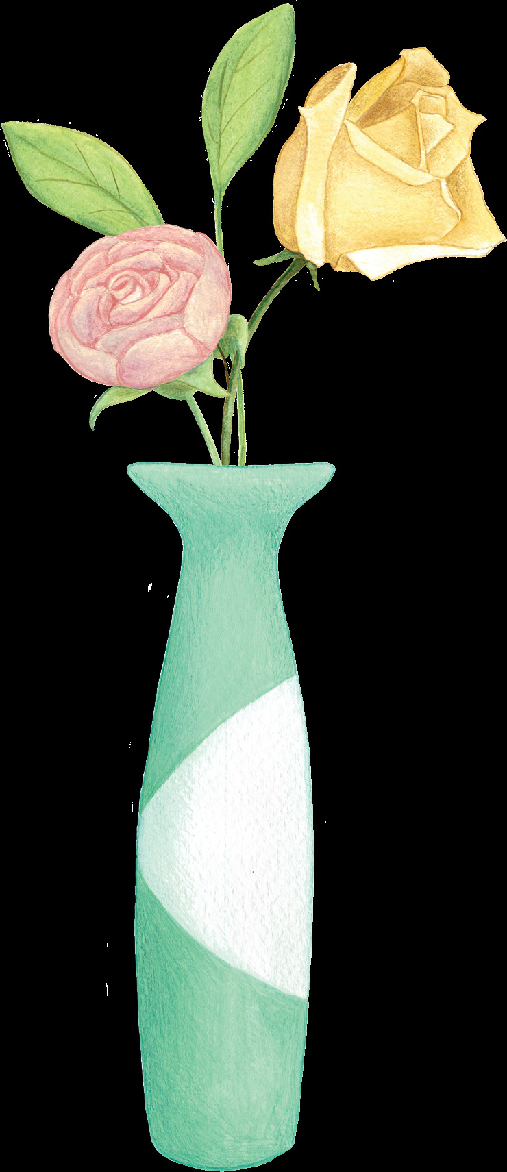 彩 铅 手绘 花朵 植物 花朵植物 手绘花朵 彩铅 彩铅植物 手绘插画 唯美 花卉花朵 手绘植物 花瓶