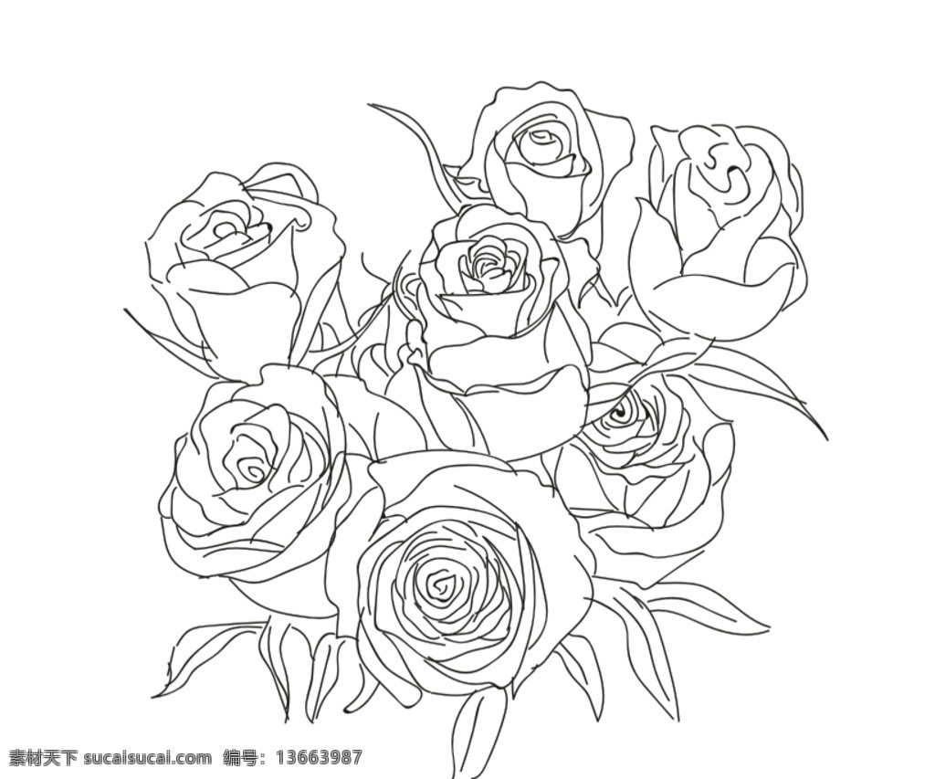玫瑰花图片 玫瑰 花花 花 玫瑰金 黑色玫瑰 手绘玫瑰 含苞待放 花束 花朵 底纹边框 花边花纹