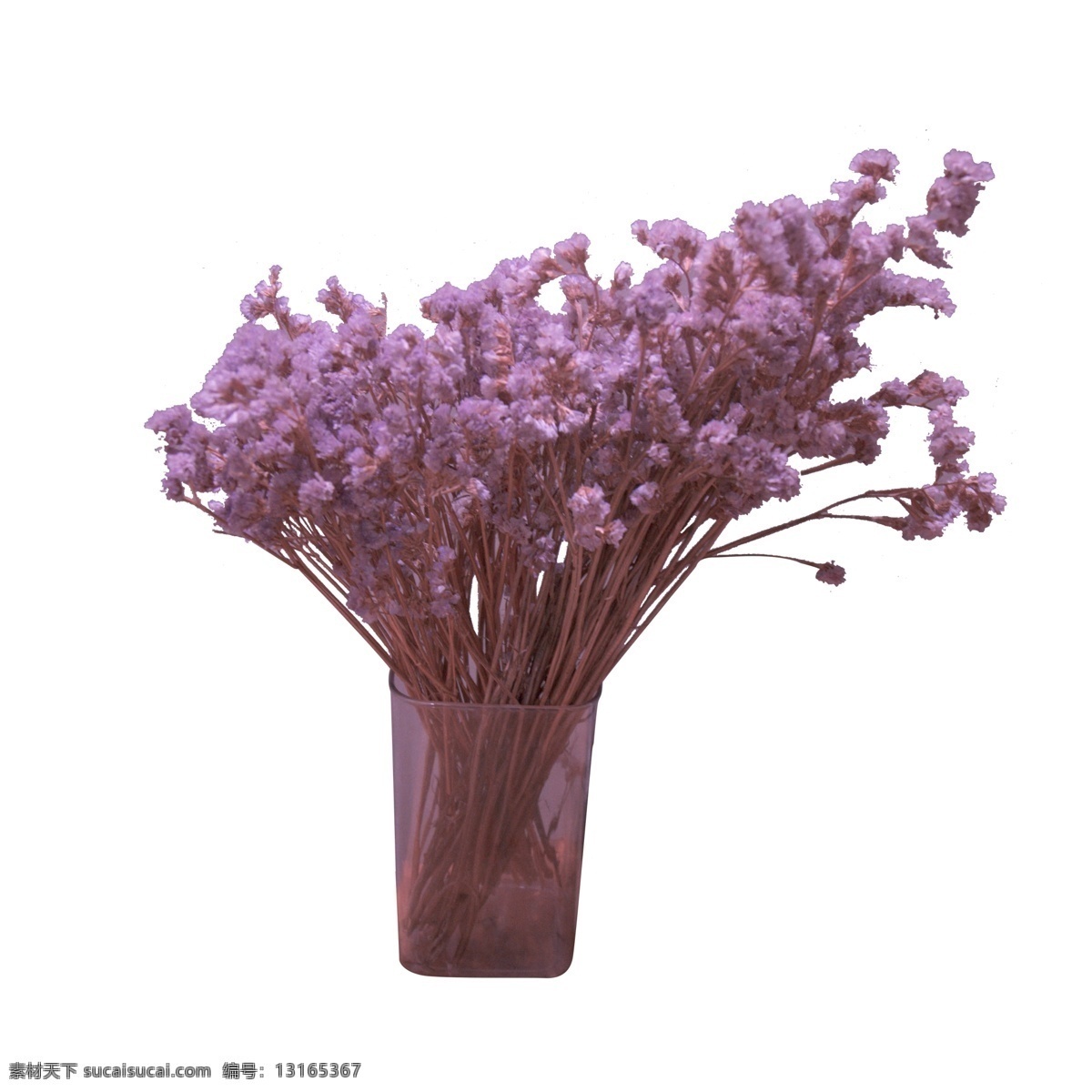 彩色 植物 花瓶 元素 装饰 纹理 花朵 大自然 风景 盛开 香气